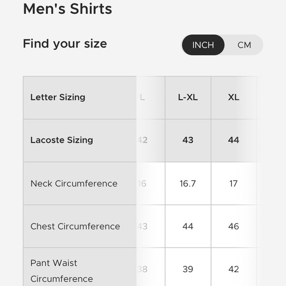 Lacoste Regular Fit Stripe Button Up Shirt - Picture 9 of 9